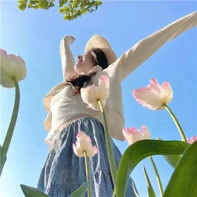 衰鸟向前冲
